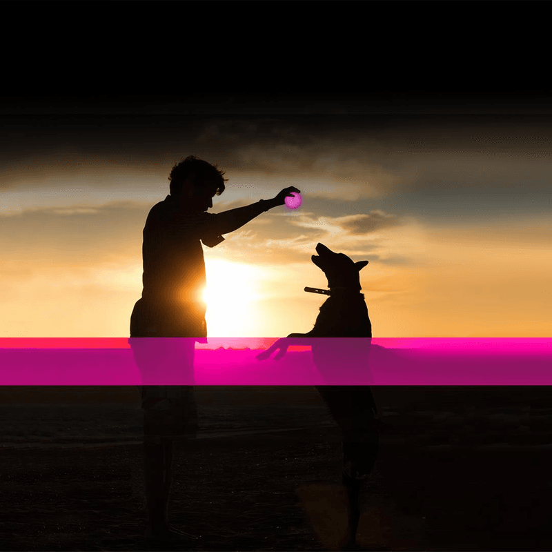 Hundeleke LED Flash Ball USB Rosa