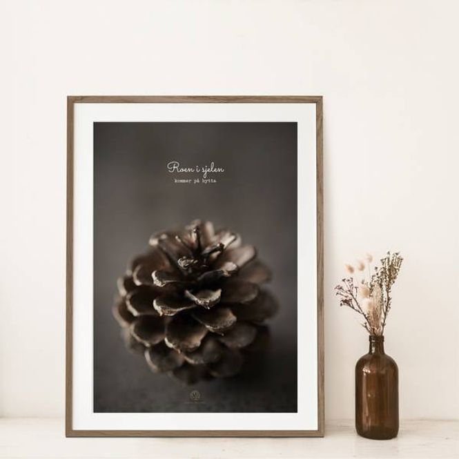 Hovedbilde Kongle | 50x70 Plakat