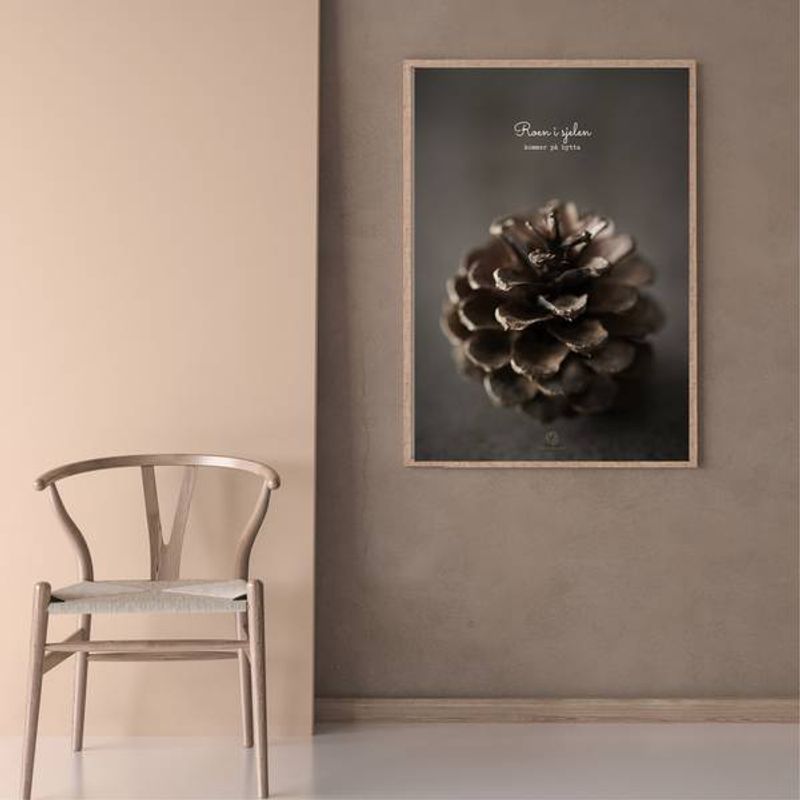 Kongle | 50x70 Plakat